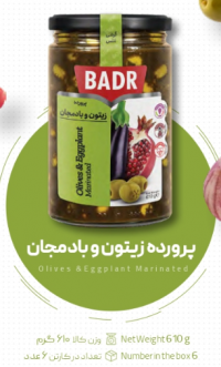 Egeplant zeytoon parvardeh