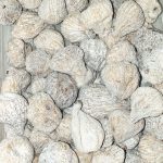 tienda iraní en Barcelona y supermarket persa فروشگاه و سوپرمارکت ایرانی در بارسلون چای برنج کنسرو آجیل دوغ مربا گلاب رب انار مواد غذایی ایرانی