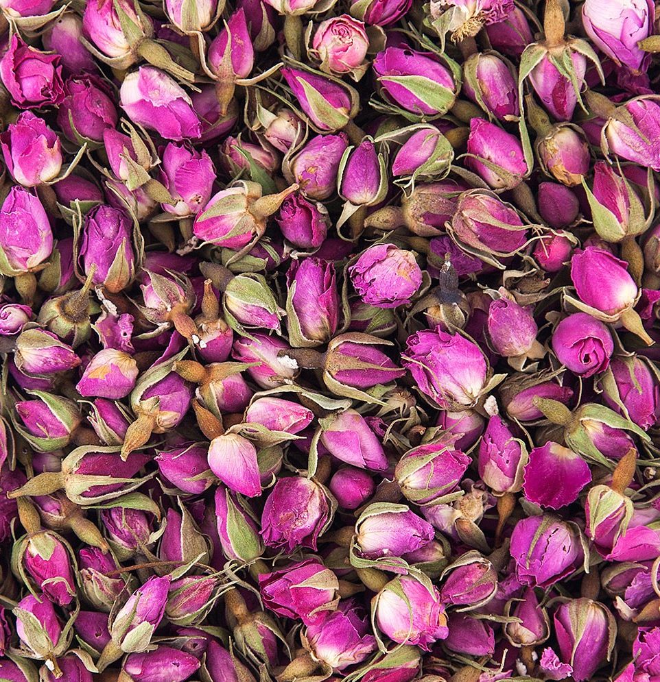 Infusion-rose-rosa-salvaje-tea-te negro con petalos de rosa tea-tee-iranian-te-shop-persa-barcelona