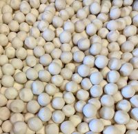 Kashk khosh dried sour yogur 100gr