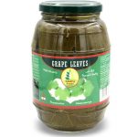 Hoja-De-Parra