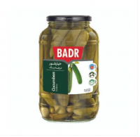Pepinillos en escabeche Khiar shoor irani