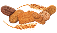 Biscuit galletas irani Farkhondeh 750 gr
