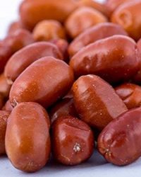 A el Saúco Senjed 100gr سنجد